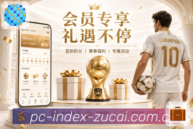 比分分析